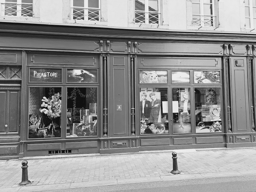 Pikastore Carcassonne