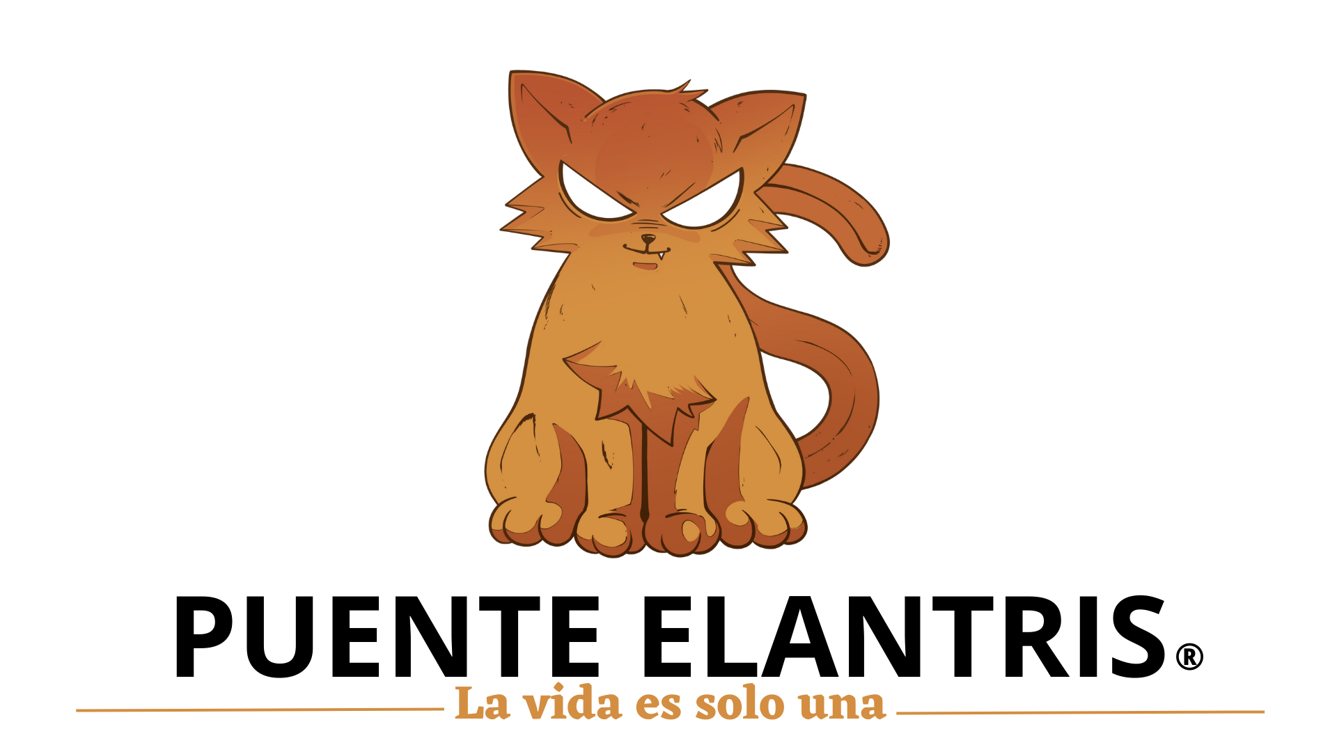 Puente Elantris