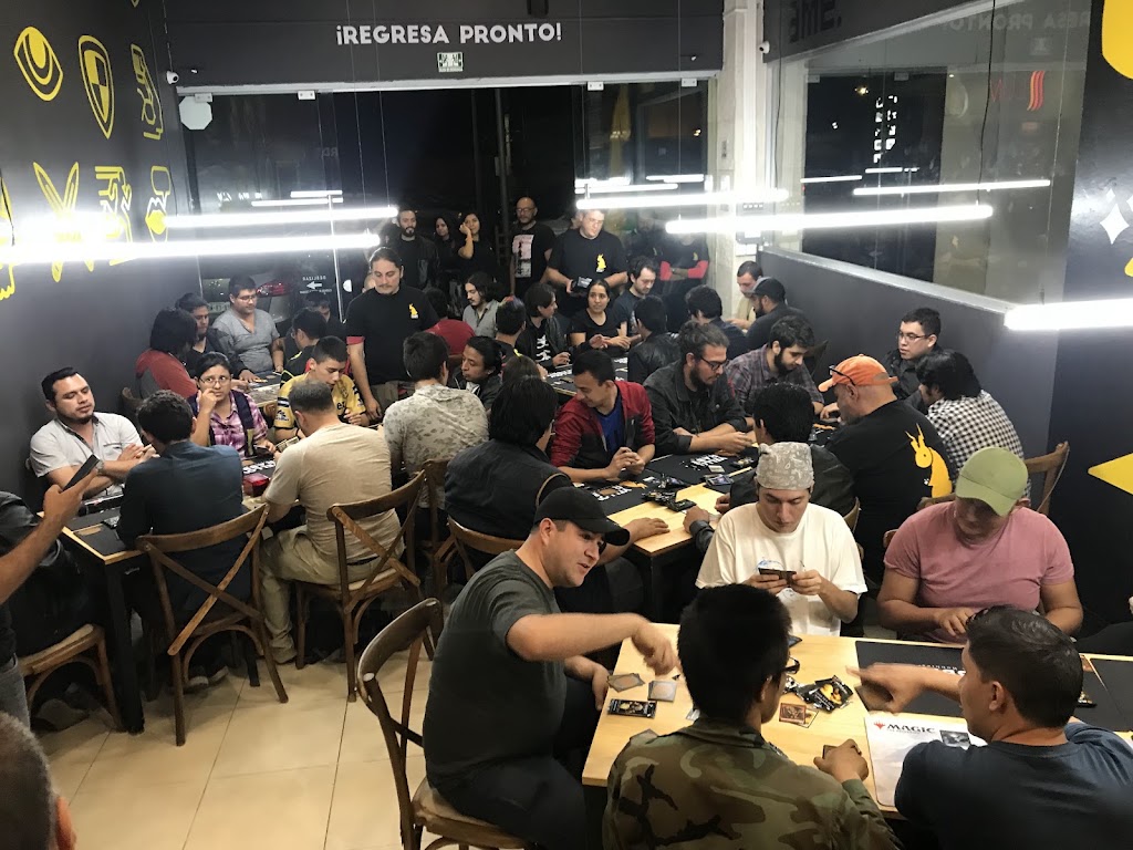 Pauper martes
