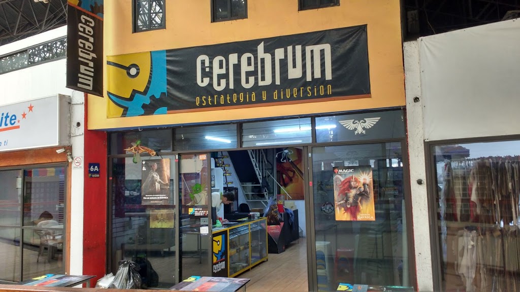 Cerebrum