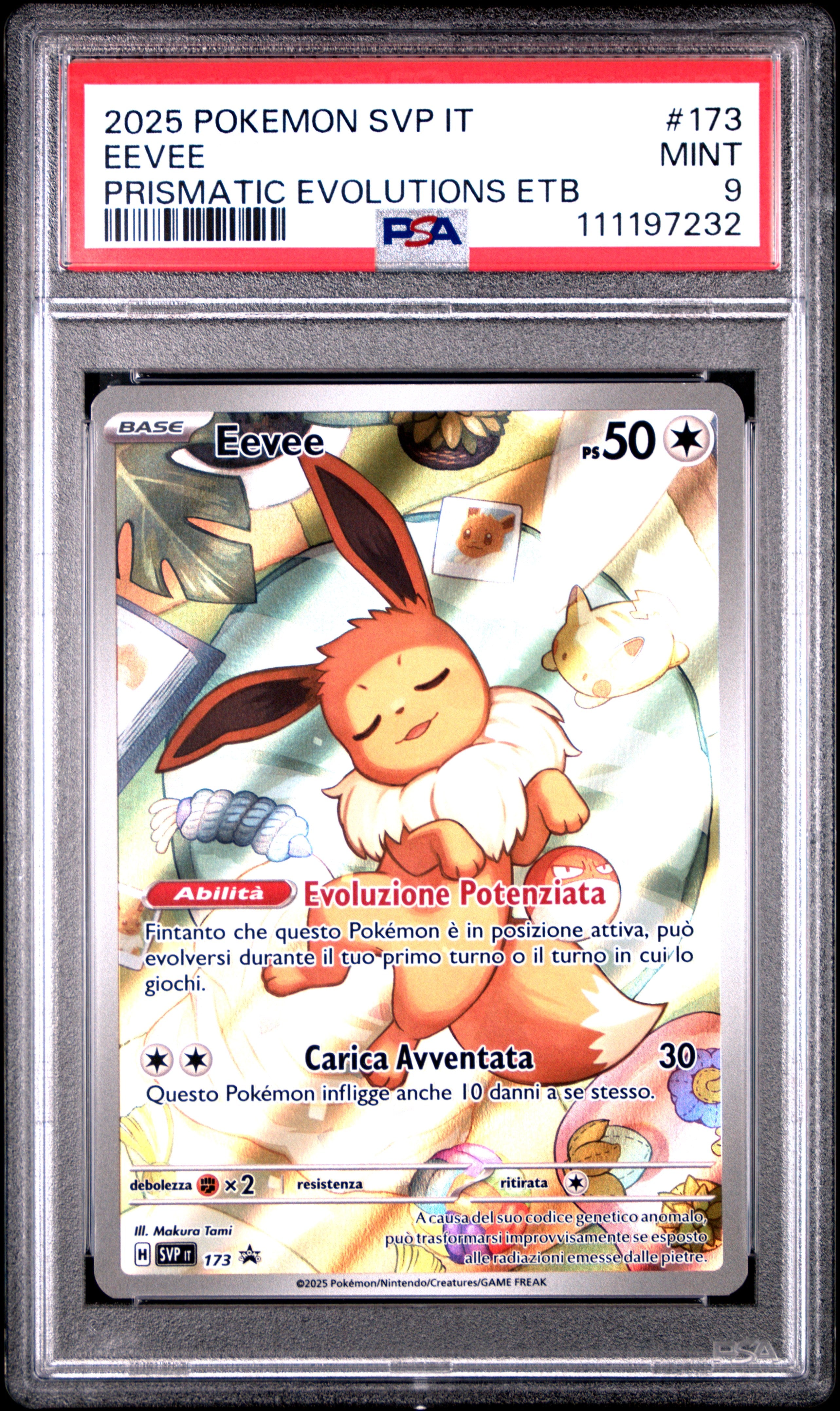 Pokecardsstore